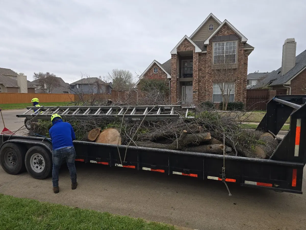 Expert Tree Pest Control with proper safety equipment in Topaz